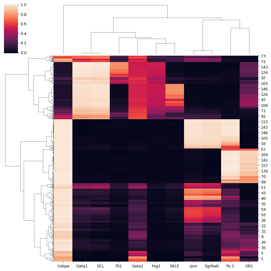 ../_images/scanpy-pl-clustermap-1.png