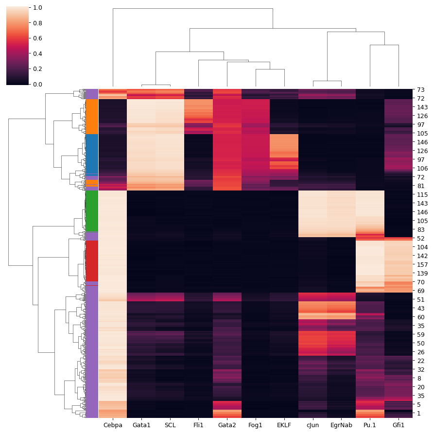 ../_images/scanpy-pl-clustermap-2.png