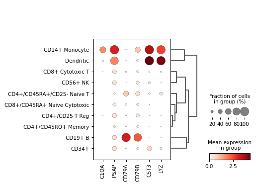 ../_images/scanpy-pl-dotplot-1.png