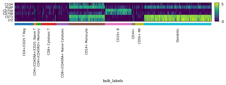 ../_images/scanpy-pl-heatmap-1.png