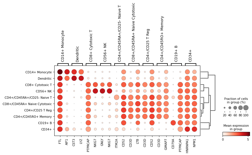 ../../_images/scanpy-pl-rank_genes_groups_dotplot-2.png