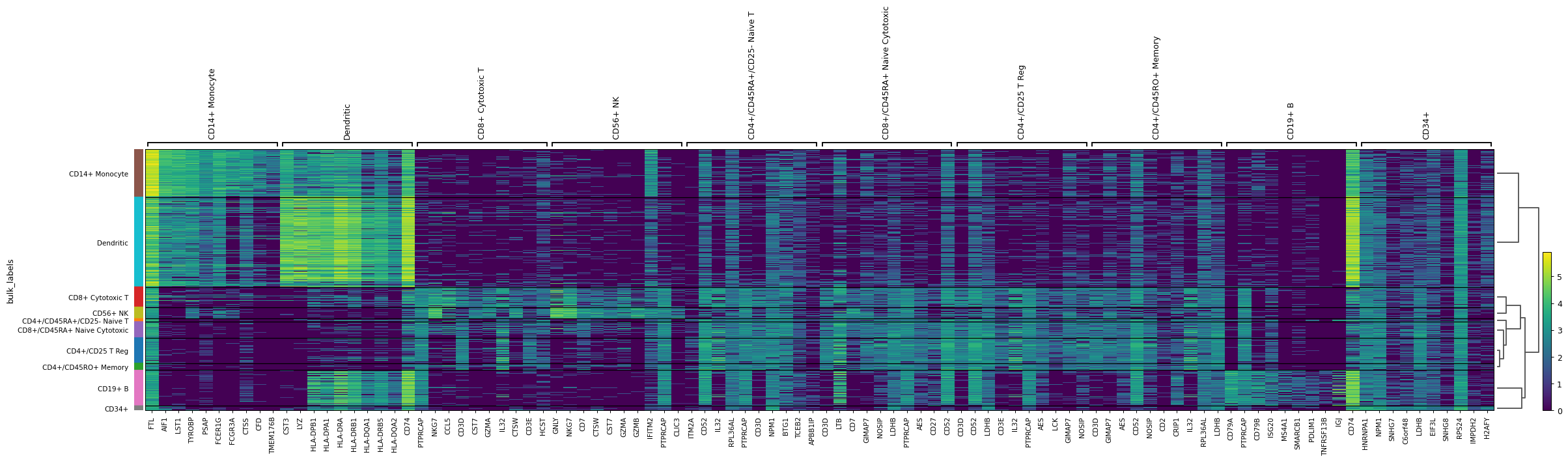 ../../_images/scanpy-pl-rank_genes_groups_heatmap-2.png