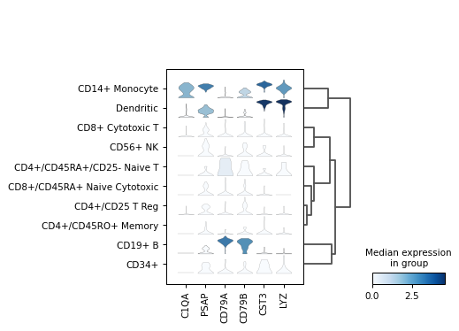 ../_images/scanpy-pl-stacked_violin-1.png
