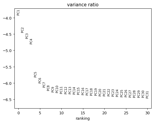 ../../_images/scanpy-pl-pca_variance_ratio-2.png